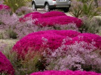 Chevrolet Captiva 2006 photo