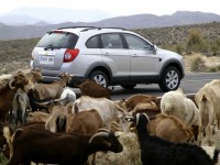 Chevrolet Captiva 2006 photo